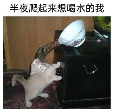 这是一张搞笑宠物梗图，上方配有文字“半夜爬起来想喝水的我”。画面中一只浅色小猫站在花纹地毯上，两只前爪扒住黑色抽屉柜的边缘，仰头张嘴去接从柜子上倾斜的带花纹瓷碗里流出的大量水流，水流直接浇在小猫的脸上和头上，小猫的模样显得既急切又狼狈。这张图用夸张的宠物行为，拟人化地调侃人们在半夜极度口渴时，爬起来急切喝水、不管不顾的状态，能引发有过类似经历的网友的共鸣，充满搞笑趣味。