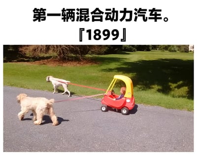 图片上方有文字“第一辆混合动力汽车。[1899]”，下方是两只狗拉着一辆红色玩具车，车里坐着一个小孩。这是一张幽默梗图，通过将狗拉车戏称为“混合动力汽车”制造笑点，利用了“混合动力”一词的现代含义与过去的人力/畜力运输方式形成反差萌。