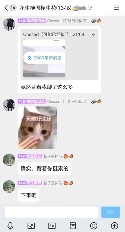 这是一张来自QQ群“花生梗图梗生花(1346)”的聊天记录截图，群成员“Chesed（可能已经似了）”（LV26福利部部长，头像是游戏《脑叶公司》中的Chesed机器人形象）看到自己错过2600条群消息后，先发布消息截图配文“竟然背着我聊了这么多”，随后发出一张猫咪被手捂住嘴、配文“天呐好过分”的表情包，以此调侃自己被群友“忽略”；另一群成员“桔子是神马”（LV45都是浮云）则抓住“背着我”的歧义，玩梗回复“确实，背着你挺累的”“下来吧”，将“瞒着我聊天”曲解为“身体上背着你”，制造出轻松搞笑的互怼效果，展现了群聊中轻松活跃的氛围。