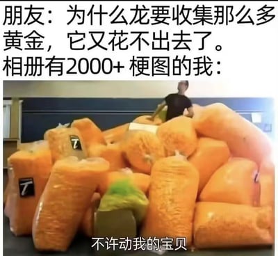这是一张充满共鸣的趣味梗图，上方文字设置了朋友的提问：「为什么龙要收集那么多黄金，它又花不出去了。」，紧接着点明「相册有2000+梗图的我：」，下方配图是一个真人护着一大堆橙色卷纸的场景，配文「不许动我的宝贝」。用龙守护用不出去的黄金，类比自己囤积大量用不完但舍不得删的梗图，精准戳中网友收集梗图的执念，搞笑又有代入感。
