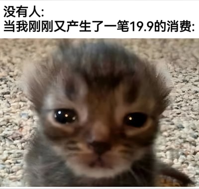 这是一张搞笑梗图，上方文字写着"没有人: 当我刚刚又产生了一笔19.9的消费:"，下方是一只表情惊讶的小猫特写。图片通过可爱动物的夸张表情来幽默表现人们对小额消费的反应，用反差萌的方式调侃日常消费行为。