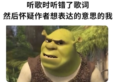 图片上方配有文字“听歌时听错了歌词 然后怀疑作者想表达的意思的我”，下方是动画电影《怪物史莱克》中主角史莱克的截图。史莱克眉头紧锁，眼神中带着明显的怀疑和困惑，表情严肃，完美契合了文字所描述的“听错歌词后过度解读作者意图”的搞笑场景，展现了日常生活中听错歌词时的有趣心理活动。