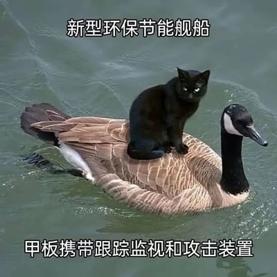 这是一张经过文字改编的动物搞笑梗图，画面主体是正在水面游动的加拿大黑雁，一只黑猫稳稳蹲坐在黑雁的背部，面向镜头神情严肃。图的上下方分别配有玩梗文字，将游动的黑雁调侃为“新型环保节能舰船”，把背上的黑猫调侃为“甲板携带的跟踪监视和攻击装置”，用拟人化的脑洞设定制造笑点，整体风格轻松诙谐。