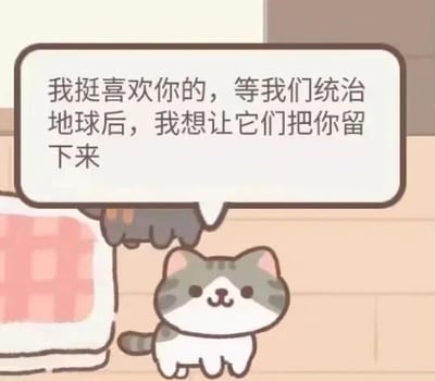 这是一张静态单图的卡通图像，带有对白气泡，属于表情素材图。画面里有一只灰白斑纹的可爱猫咪，它面带微笑站立着，上方的对白气泡中写着“我挺喜欢你的，等我们统治地球后，我想让它们把你留下来”。这句话用反差感十足的中二脑洞方式表达喜爱，将原本软萌的猫咪赋予“统治地球”的有趣设定，既搞笑又凸显出猫咪的可爱，没有双关、谐音梗或暗示内容。