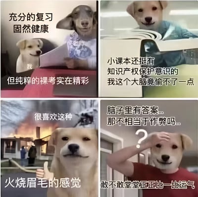 这是一张四格漫画形式的表情包，通过狗狗拟人化形象幽默展现学生备考状态。第一格中，一只狗（标注为“我”）面对拿着试卷的老师狗，配文“充分的复习固然健康，但纯粹的裸考实在精彩”；第二格狗狗看着课本，配文“小课本还挺有知识产权保护意识的 我这个大脑竟偷不了一点”；第三格背景是着火的建筑，狗狗淡定竖大拇指，配文“很喜欢这种火烧眉毛的感觉”；第四格狗狗摸头疑惑，配文“脑子里有答案...那不相当于作弊吗...敢不敢堂堂正正比一比运气”。整体用自嘲方式调侃学生不复习就考试的心态。