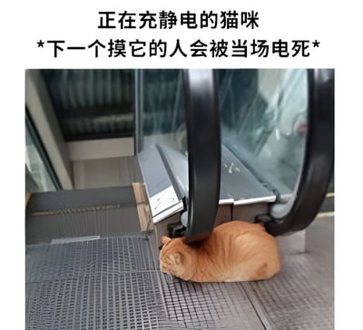 图片中一只橘猫正趴在自动扶梯的台阶上，头部靠近移动的扶手带，身体蜷缩成一团，看起来十分慵懒。图片上方配有文字“正在充静电的猫咪 *下一个摸它的人会被当场电死*”，通过幽默的方式调侃猫咪可能因接触扶梯扶手带而带上静电，营造出搞笑的效果。