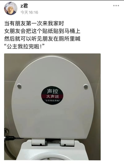 这是一条社交平台动态，发布者z君在今天16:16分享了和女朋友整蛊来访好友的趣味日常：当有朋友第一次来家里时，女朋友会将一枚写有“声控 大声说‘公主我拉完啦!’”的黑色贴纸贴在白色马桶盖上，制造出马桶是声控、需要喊出指定话语才能使用相关功能的假象，从而误导朋友在厕所里喊出“公主我拉完啦!”，充满恶搞和欢乐的生活趣味。配图清晰展示了贴在马桶盖上的贴纸，贴纸设计为黑底，中间白色字体写“声控”，下方红底白字写“大声说”，最下方标注需要喊出的内容“公主我拉完啦!”。