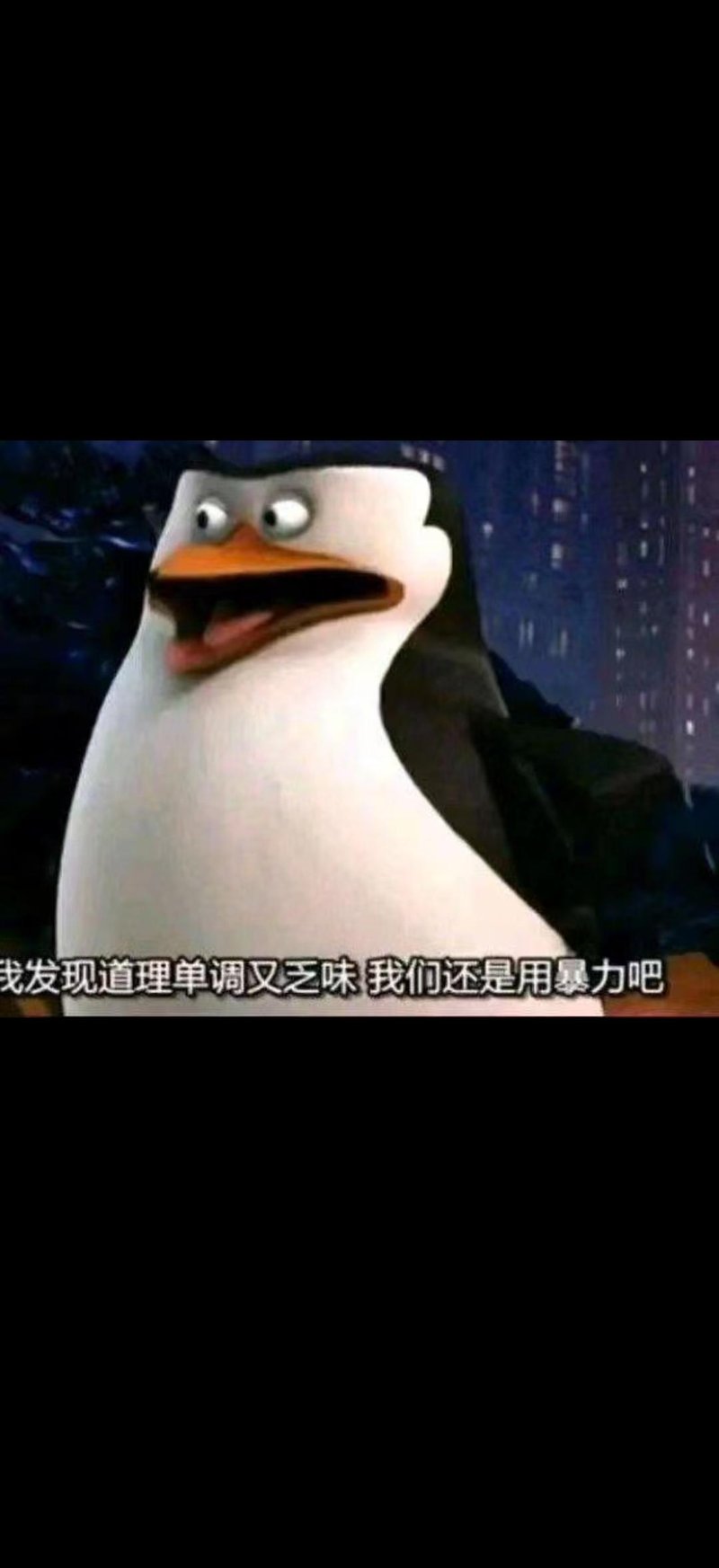 马达加斯加的企鹅