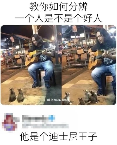 这是一张左右分栏的对比式图文梗图，上方配有文字“教你如何分辨一个人是不是个好人”。左侧画面中，一位长发男子坐在街边的黑色椅子上，抱着木吉他专注弹奏，两只灰毛小猫端正地坐在他面前的地面上，仰头望着男子；右侧画面里，男子保持弹奏的姿态，原本的两只小猫变成了四只，它们挤在一起，依旧仰头专注地聆听吉他声。图片下方带有马赛克处理的评论区里，有一条评论写着“他是个迪士尼王子”。整图通过猫咪被吉他声吸引、数量变多的温馨细节，用可爱的方式传递出“能被小动物亲近、温柔对待小动物的人一定是善良好人”的观点，将男子比作迪士尼王子，强化了其温柔治愈的特质。