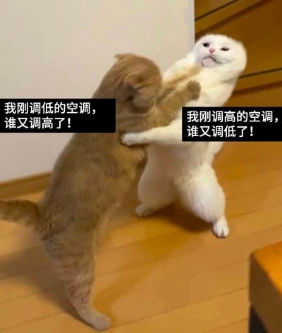 这是一张文字加注的静态表情包，画面中两只猫咪呈肢体对峙推搡的姿态，左边的橘猫旁配文“我刚调低的空调，谁又调高了！”，右边的白猫旁配文“我刚调高的空调，谁又调低了！”。该图以猫咪的互动为载体，生动还原了日常生活中不同人群对空调温度需求不同而产生的小矛盾，用可爱的宠物形象表现日常争执，既搞笑又贴切，容易引发大众共鸣。