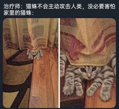 这是一张左右对比的搞笑梗图，上方配有文字“治疗师：猫蛛不会主动攻击人类，没必要害怕 家里的猫蛛：”。左侧图片显示窗帘下只露出几只猫爪，看起来像蜘蛛的腿；右侧图片则展示了一只猫从窗帘后探出整个头部和爪子，表情警惕，形成幽默反差。图片通过“猫蛛”的谐音梗制造笑点，将猫和蜘蛛的特征结合，调侃了人们对家中宠物既害怕又觉得可爱的矛盾心理。