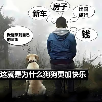 图片中一个男人和一只狗并排坐在长椅上，各自想着不同的事情。男人的思想泡泡里是"新车"、"房子"、"出国旅行"和"钱"这些人类社会中的常见欲望；而狗的思想泡泡里只有一个简单的想法："我能舔到自己的蛋蛋"。图片底部配有文字"这就是为什么狗狗更加快乐"，通过对比幽默地表达了简单生活带来的快乐。