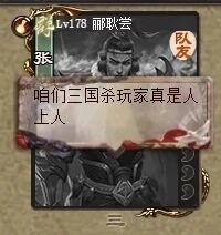 这是一张基于三国杀游戏界面的P图改编趣味梗图，采用竖屏手机格式呈现。图片上方是三国杀游戏内的玩家信息栏，显示等级为Lv178的玩家“郦耿堂”，带有“队友”标识和“张”字样；下方是三国杀中的武将卡通形象，神情严肃、手持武器，同时添加了对白气泡，气泡内文字为“咱们三国杀玩家真是人上人”，是玩家用来自我调侃、玩梗的趣味内容。