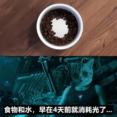 图片分为上下两部分。上半部分是一个白色碗中装满咖啡豆，中间形成圆形空白区域，放置在木质桌面上。下半部分是一个科幻风格的场景，一只猫脸人身的角色坐在类似太空船驾驶舱的环境中，背景有各种机械装置和星空景象。底部配有文字：'食物和水，早在4天前就消耗光了....'，形成一种幽默的反差效果。