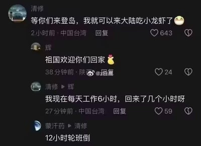 这是一段社交媒体评论区的互动截图，来自中国台湾的网友“清修”留言称“等你们来登岛，我就可以来大陆吃小龙虾了”，直白表达了想来大陆的期待；大陆网友“辉”暖心回复“祖国欢迎你们回家”；随后“清修”又聊起自己在台湾的工作时长，疑惑“我现在每天工作6小时，回来了几个小时呀”；网友“蒙汗药”则以“12小时轮班倒”回复，展现了两岸网友围绕返乡期待与职场日常展开的轻松亲切的趣味互动。