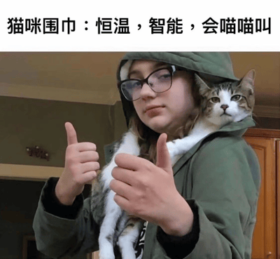 图中一位穿着绿色连帽衫的人正竖起双 thumbs up，一只猫乖巧地趴在其肩膀上，猫头从连帽衫的帽子中探出，眼神平静。图片上方配有文字“猫咪围巾：恒温，智能，会喵喵叫”，将猫咪幽默地比作一款功能齐全的“围巾”，玩梗宠物与配饰的结合，营造出轻松可爱的氛围。