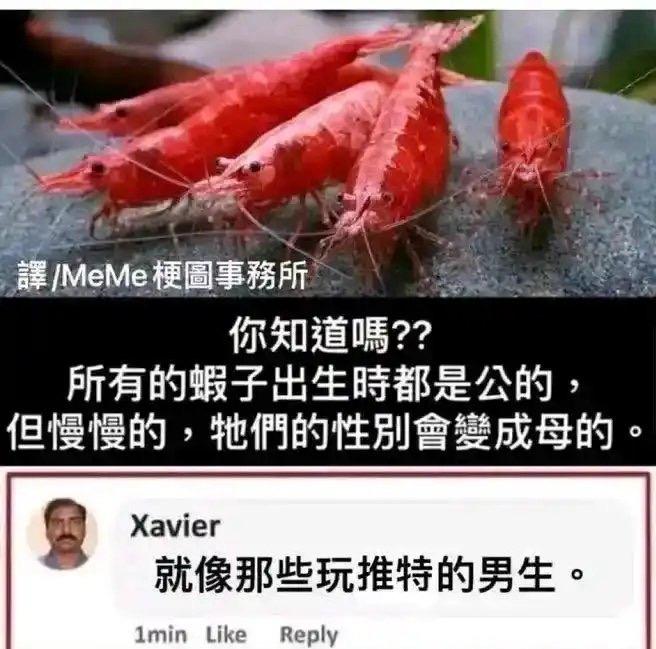 Xavier