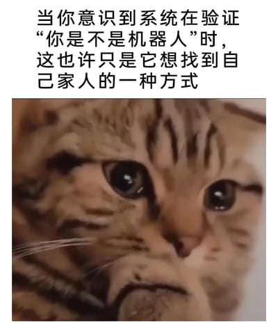 这是一张趣味改编的图文混排表情包，上方的文字对常见的人机验证行为进行了脑洞大开的拟人化解读，将系统验证“你是不是机器人”的行为，调侃成系统在寻找自己的“家人”（同类机器人）；下方搭配的是一只虎斑猫咪的特写，猫咪双眼湿润、神情委屈，爪子放在嘴部，呈现出可怜巴巴的神态，与上方的文字结合后，既让人觉得搞笑荒诞，又莫名产生一丝共情，把原本冰冷的人机验证行为赋予了温情又搞笑的色彩，适合在社交平台用来调侃日常遇到的人机验证场景。