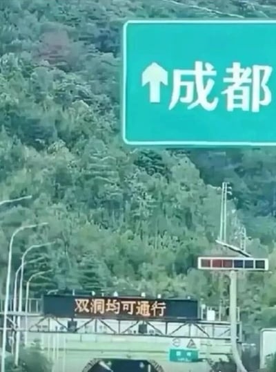 图片展示了一个指向成都方向的绿色道路指示牌，箭头朝上。背景是郁郁葱葱的绿色山林，前景有路灯和一个电子交通信息牌，上面显示'双洞均可通行'。整体场景为户外道路旁的交通指示环境，画面清晰，色彩以绿色为主。