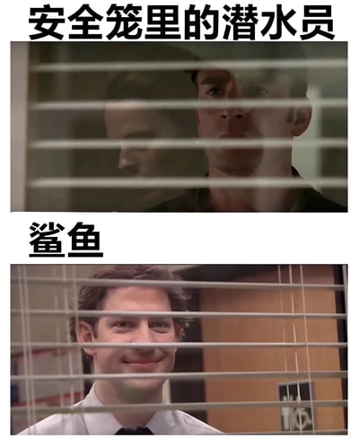 这是一张上下两格的对比梗图。上格上方文字为“安全笼里的潜水员”，画面中一名男性透过百叶窗缝隙注视前方，表情严肃认真，眼神中带有警惕感；下格上方文字为“鲨鱼”，另一名男性同样透过百叶窗缝隙看向镜头，却露出轻松的微笑，形成鲜明反差。通过人物表情和文字的搭配，幽默地表现出“安全笼里的潜水员”对“鲨鱼”的警惕与“鲨鱼”实际友好状态之间的有趣对比。
