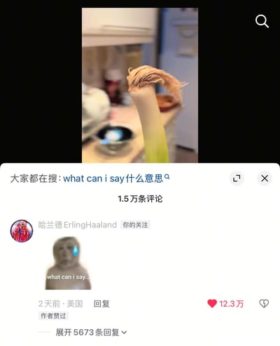 这张图为社交媒体平台的内容截图，上半部分是一张厨房场景下拍摄的大葱实拍图，该大葱顶部的干枯须根形态与足球运动员哈兰德的标志性发型高度相似，下半部分是该内容的评论区：用户“哈兰德ErlingHaaland”（官方账号）发布了一张带汗珠的无奈猴子表情包，配文“what can i say...”，这条评论获得12.3万点赞，有5673条回复，评论区顶部还显示搜索提示“大家都在搜：what can i say什么意思”，整体是网友发现大葱与哈兰德外形撞脸后，哈兰德本人下场玩梗的趣味内容，笑点十足。