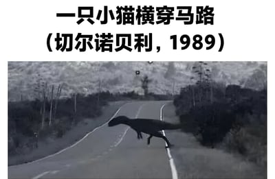 这张梗图通过强烈的图文反差制造幽默效果。图片上方文字描述为"一只小猫横穿马路 (切尔诺贝利，1989)"，但下方实际展示的却是一张黑白照片，画面中有一只类似霸王龙的恐龙正在横穿一条荒凉的道路。这种内容与描述的不符产生了滑稽的喜剧效果，同时结合了切尔诺贝利这一历史事件的背景增加了荒诞感。