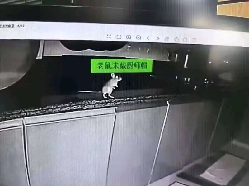 无（被调侃为厨房工作人员）
