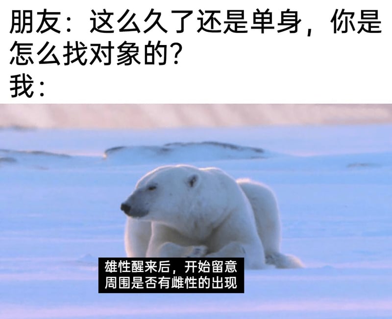 未知自然动物纪录片