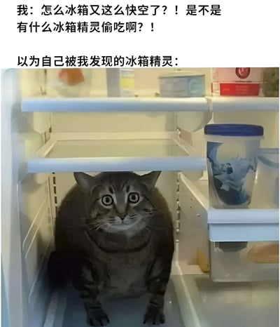 图片上方配有文字“我：怎么冰箱又这么快空了？！是不是有什么冰箱精灵偷吃啊？！ 以为自己被我发现的冰箱精灵：”，下方是一张实拍图：一只灰色猫咪正坐在空空如也的冰箱冷藏室里，双眼瞪得溜圆，表情呆萌又带着一丝惊恐，仿佛偷吃被当场抓包，完美呼应了“冰箱精灵”的趣味设定。
