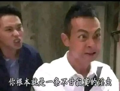 这是一张TVB电视剧的剧照截图，画面呈现了两位男性角色激烈对峙的场景。左侧男子身体前倾，张嘴嘶吼，面部表情充满愤怒，正在对右侧人物进行尖锐指责；右侧由林保怡饰演的角色双眼瞪大，面部肌肉扭曲，露出震惊与愤怒交织的表情，情绪反应十分强烈。画面下方配有白色字幕“你根本就是一条不甘寂寞的淫虫”，直白且攻击性的台词进一步凸显了两人之间的激烈矛盾，整个场景充满了情绪张力，将剧中人物的冲突感拉满。