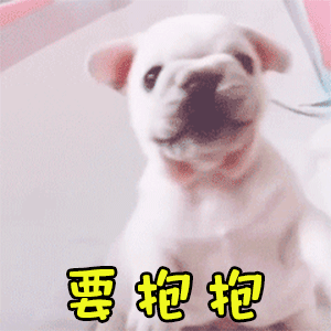 萌犬求抱抱动态图