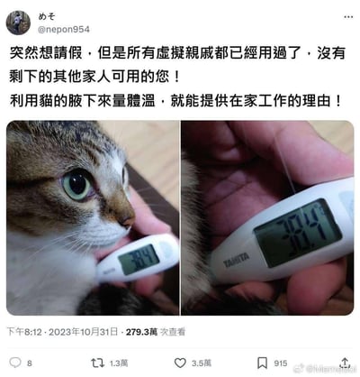 这是一张X平台（原推特）的用户发布截图，博主针对职场人想请假却找不到合理理由的困境，分享了一个脑洞大开的歪点子：当所有「虚拟亲戚」类的请假借口都用完后，将电子体温计放在猫咪的腋下，利用猫咪的正常体温（38.4℃，该数值对人类而言属于发烧状态）来伪造发烧证明，以此申请居家办公。图中左右两张实拍图分别展示了将体温计放在猫咪腋下的场景，以及体温计显示38.4℃的画面，猫咪一脸无奈地配合操作，整个内容充满了职场人的小聪明和搞笑趣味，没有双关、谐音梗等特殊修辞，单纯利用人与猫的正常体温差异制造假证据。