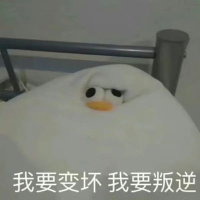 一只可爱的白色鸭子毛绒玩具从医院病床的被子里探出头来，表情无辜，却配上了'我要变坏 我要叛逆'的文字，形成可爱与叛逆的反差萌效果。