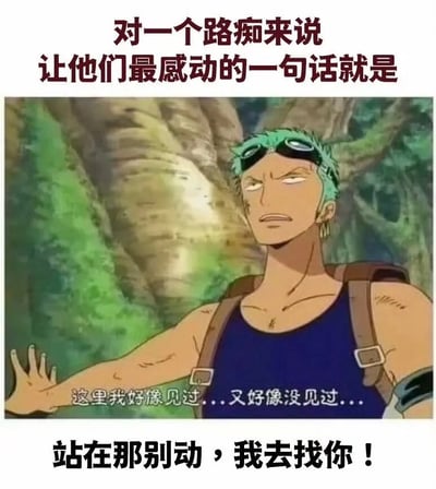 这是一张结合动漫角色特点制作的搞笑表情包，图上方配有文字“对一个路痴来说，让他们最感动的一句话就是”，中间是日本动漫《海贼王》的动画截图，图中罗罗诺亚·索隆站在树林中，一脸困惑茫然，图中配文是他的台词“这里我好像见过...又好像没见过...”，正好贴合原作中索隆本身路痴的人设，图下方配文“站在那别动，我去找你！”，点出主旨，调侃了路痴找不到路的状态，玩了索隆路痴的经典动漫梗。