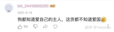 这是一张哔哩哔哩（B站）的用户评论区截图，发布于2021年5月14日。截图中显示用户ID为bili_24416869285、等级为LV5的用户发布了一条评论：“狗都知道爱自己的主人，这货都不知道爱国😤”，该评论获得了94个点赞。评论搭配愤怒的表情符号，用户用狗对主人的忠诚类比爱国，以此表达对某个对象的强烈不满与指责。右下角带有“知乎 @Terminus”的水印，说明该截图被搬运至知乎平台。