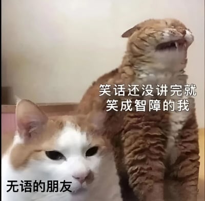 图片中展示了两只猫，前景是一只表情平静、眼神略带无奈的橘白相间的猫，图片下方配有文字“无语的朋友”。背景是一只毛发蓬松、嘴巴大张、露出牙齿、仰头大笑的猫，图片右侧配有文字“笑话还没讲完就笑成智障的我”。整个图片通过两只猫截然不同的表情和动作，幽默地展现了一个人在听笑话时自己先笑得无法控制，而朋友则一脸无奈的场景。