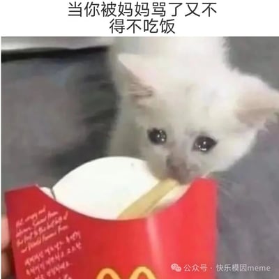 图片上方配有文字‘当你被妈妈骂了又不得不吃饭’，下方是一只白色小猫正低头从红色麦当劳薯条盒中叼取薯条的场景。小猫眼神委屈又无辜，嘴巴却诚实地吃着薯条，生动演绎了被家长批评后虽然心里不爽但仍要乖乖吃饭的真实写照，充满生活气息和幽默感。