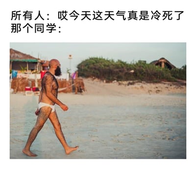 这是一张图文结合的搞笑梗图，上方文字分为两部分，“所有人：哎今天这天气真是冷死了”代表大众在寒冷天气下的普遍感受，“那个同学：”引出下方的图片内容。图片中是一位只穿着白色三角内裤的男士，他全身覆盖浓密的体毛，视觉上容易让人误以为穿着衣物，他正赤脚行走在沙滩浅水区，背景是沙滩和简易的沿岸建筑，与上方文字里的“冷死了”形成强烈反差，用夸张的方式表现出这位同学和大众截然不同的耐寒能力，制造出荒诞搞笑的效果，同时男士的体毛还形成了视觉错觉，容易让人误判他的穿着。