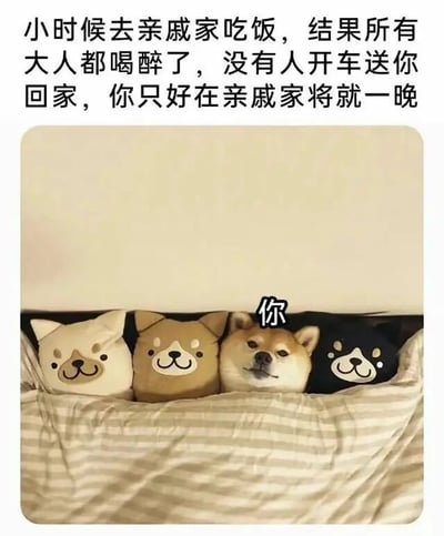 图片上方配有文字描述童年经历：'小时候去亲戚家吃饭，结果所有大人都喝醉了，没有人开车送你回家，你只好在亲戚家将就一晚'。下方是一张实拍图，一只柴犬躺在床上，周围环绕着三个不同颜色（白色、棕色、黑色）的狗形毛绒玩具，柴犬头顶有黑色文字标签'你'，通过将柴犬比作被迫留宿的小孩，用毛绒玩具营造出陌生环境中的陪伴感，整体呈现出一种幽默又真实的童年生活场景再现。