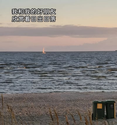 图片展示了一幅海边黄昏景象，平静的海面上有一艘白色帆船远航，远处天空被染成粉紫色渐变。近处沙滩上散落着枯草，右侧放置着两个绿色垃圾桶。图片顶部配有文字“我和我的好朋友欣赏着日出日落”，通过将垃圾桶暗喻为“好朋友”，形成诗意文案与现实场景的幽默反差，营造出轻松搞笑的氛围。