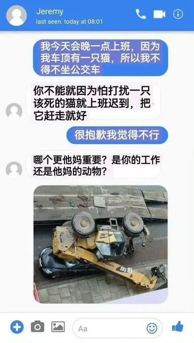 这是一张由即时通讯软件聊天记录和事故照片组成的梗图。对话中，员工向上司Jeremy说明自己要晚到，原因是车顶有一只猫，所以选择坐公交上班；Jeremy怒斥员工不该因猫耽误工作，还质问工作和动物哪个更重要。随后员工发出一张重型吊车侧翻压在黑色轿车上的事故照片，暗示如果当时赶走猫开车上班，可能就会遭遇这场事故，用极端巧合的后果来回应上司的质问，既讽刺了职场中上司只看重工作的刻板态度，又用荒诞的巧合制造出搞笑的效果。