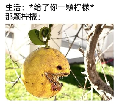 这是一张充满戏谑感的搞笑梗图，上方分为两行文字：第一行是“生活：*给了你一颗柠檬*”，第二行是“那颗柠檬：”；下方配图是一颗挂在干枯树枝上的畸形柠檬，柠檬表面的自然瑕疵与生长形态巧合地构成了类似愤怒嘶吼的人脸模样——一处黑点像眼睛，破损的区域像张开嘶吼的嘴巴，整体表情狰狞。这张图玩了西方经典谚语的反套路梗，调侃生活带来的“困境（柠檬）”本身就很糟糕，打破了谚语传递的苦中作乐的积极意味，充满反差搞笑感。