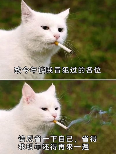 这是一张上下拼接的对比梗图，主体为一只白色猫咪。上图中白猫叼着未点燃的香烟，配文“致今年被我冒犯过的各位”，营造出要致歉的氛围；下图中白猫叼着冒烟的香烟，配文“请反省一下自己，省得我明年还得再来一遍”，瞬间反转，展现出嘴硬、不肯真正低头道歉的拽酷态度。整图用幽默的反差感，将看似致歉实则强硬的姿态表现得淋漓尽致，是适合年末在社交平台分享玩梗的搞笑内容，用来调侃嘴硬不肯认错的有趣状态。