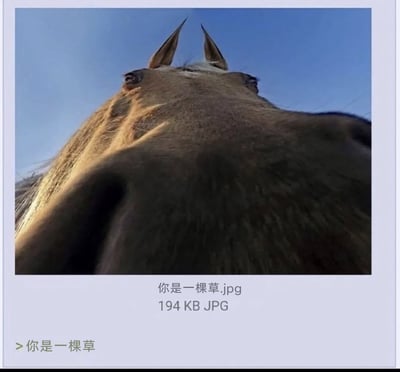 暂无描述