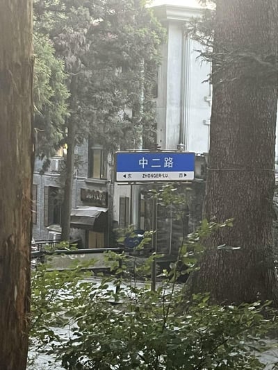 这是一张竖版实景拍摄照片，画面核心是蓝底白字的「中二路」路牌，路牌下方标注了对应的拼音「ZHONGER LU」，并配有东西方向的箭头指示。路牌被前景的绿植和两侧的高大树木部分遮挡，背景是一栋带有复古风格的砖石结构多层建筑，建筑周围生长着茂密的常绿树木，整体场景呈现出城市老街区的静谧氛围，无谐音梗或双关含义。