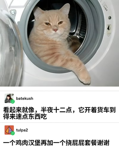 一张幽默的猫咪照片，一只橘猫坐在打开的洗衣机里，一只爪子伸出来，表情淡定。下方配有两条搞笑评论，第一条评论将猫咪比作深夜开货车去得来速点餐的顾客，第二条评论则模仿点餐内容："一个鸡肉汉堡再加一个挠屁屁套餐谢谢"。这种将猫咪行为拟人化的创意产生了有趣的喜剧效果。
