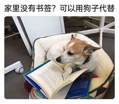 这是一张充满趣味的生活类图片，画面中一只白棕相间的狗狗窝在毛绒宠物窝里，它的一只爪子自然地压在一本摊开的书上，姿态看起来像是在用爪子充当书签。图片上方配有文字“家里没有书签？可以用狗子代替”，以拟人化的调侃视角，将狗狗的自然姿态赋予了“当书签”的趣味功能，营造出温馨又搞笑的日常氛围，展现了宠物和生活结合的趣味瞬间。