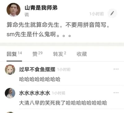 这是一张社交媒体截图，展示了用户“山青是我师弟”发布的一条动态，内容吐槽将“算命先生”用拼音简写为“sm先生”的现象，配文“算命先生就算命先生，不要用拼音简写，sm先生是什么鬼啊。。。”。下方有两条评论，分别是“过早不食鱼摆摆”的“哈哈哈哈哈哈哈哈”和“水水水水水水”的“大清八早的笑死我了哈哈哈哈哈哈哈哈”，动态数据显示有14条回复、29个赞、2次转发和2次收藏。整体场景为典型的社交媒体互动，充满幽默吐槽氛围。
