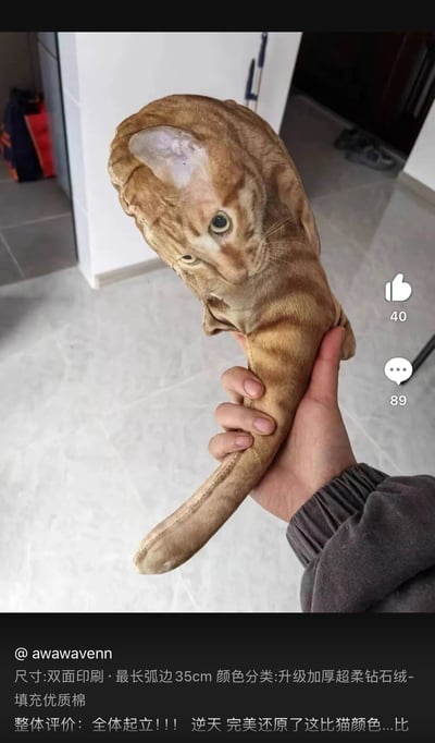 图片展示一只手握着一个印有逼真橘猫头部和尾巴图案的毛绒玩具，玩具采用双面印刷，最长弧边35cm，材质为升级加厚超柔钻石绒，填充优质棉。背景是室内瓷砖地面，可见部分家具和物品。图片右侧有社交媒体常见的点赞图标（40赞）和评论图标（89条评论）。底部显示发布者账号@awawavenn及产品评价：“全体起立!!! 逆天 完美还原了这比猫颜色...比”。整体风格轻松有趣，属于用户对猫咪周边产品的分享内容。