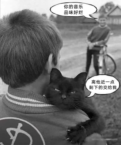 这是一张基于老照片二次创作的黑白梗图，画面中一名男孩背对着镜头，肩膀上趴着一只眼神锐利、表情凶狠的黑猫，远处另一名骑着自行车的男孩对着他喊话挑衅：“你的音乐品味好烂”，而趴在男孩肩膀上的黑猫则霸气地回应：“离他近一点 剩下的交给我”。创作者通过给原本普通的老照片添加对话气泡，将猫咪塑造成会帮主人出气的“护主狠角色”，利用猫咪的凶狠表情和霸气台词形成反差感，制造出搞笑幽默的效果，精准表达了被他人嘲讽后希望有人帮忙出头的爽感。